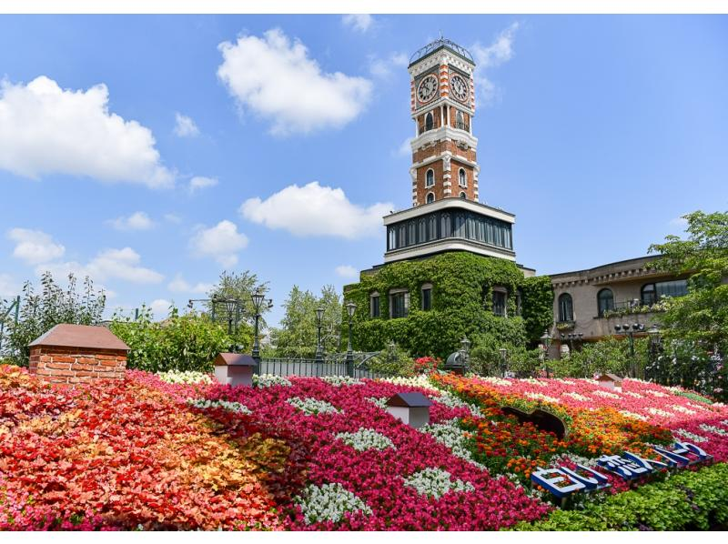 [Hokkaido, Otaru] Sapporo departure, Shakotan Peninsula, Otaru, one-day bus tour, Shakotan Kamui Cape + Otaru city walk + Shiroi Koibito Park <Departure from 1 person / Sapporo city departure and arrival>の紹介画像