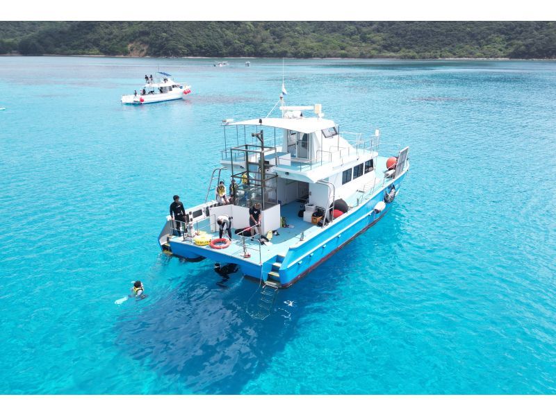 [Amami Oshima, South] A one-day boat snorkeling plan that you can enjoy to the fullest ★ A paradise for corals and tropical fish!の紹介画像