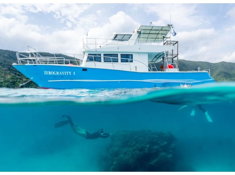 [Amami Oshima, South] A one-day boat snorkeling plan that you can enjoy to the fullest ★ A paradise for corals and tropical fish!の紹介画像