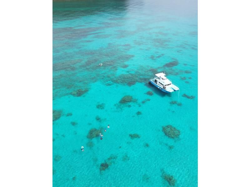 [Amami Oshima, South] A one-day boat snorkeling plan that you can enjoy to the fullest ★ A paradise for corals and tropical fish!の紹介画像