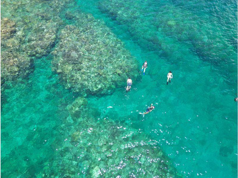 [Amami Oshima, South] A one-day boat snorkeling plan that you can enjoy to the fullest ★ A paradise for corals and tropical fish!の紹介画像