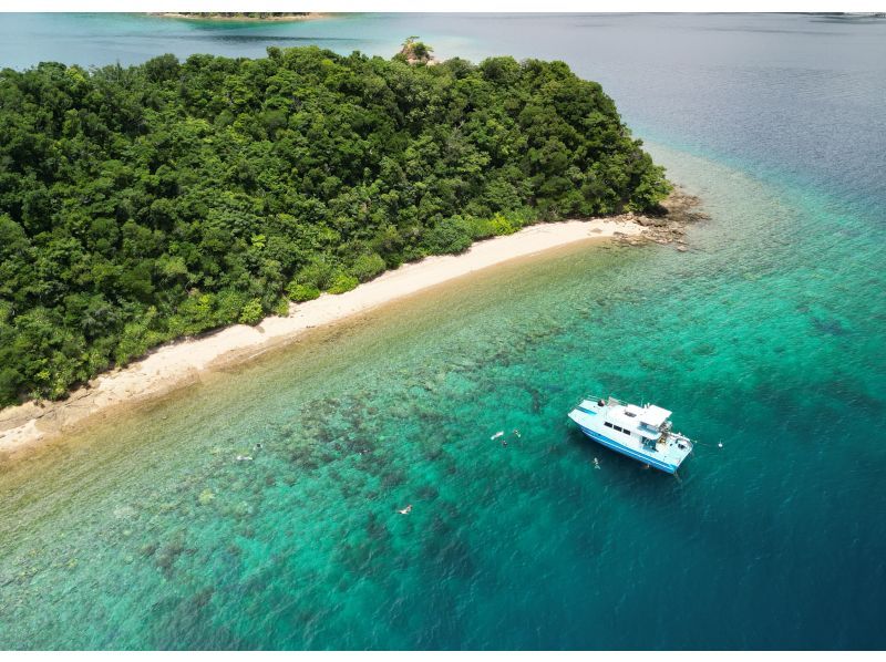 [Amami Oshima, South] A one-day boat snorkeling plan that you can enjoy to the fullest ★ A paradise for corals and tropical fish!の紹介画像