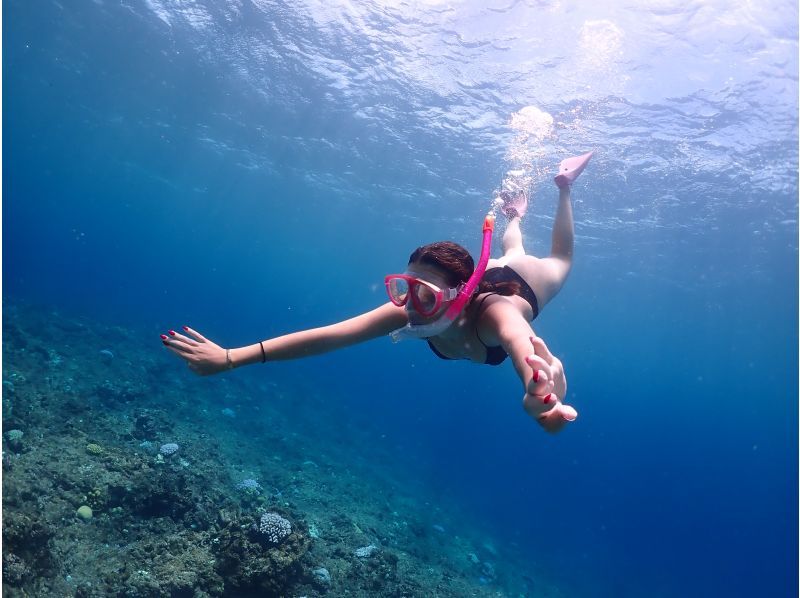 [Okinawa, Ishigaki Island] Fun Diving 3 Dives Inbound supportの紹介画像