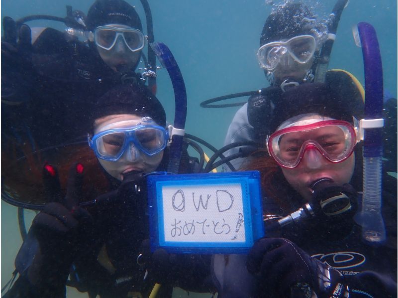 PADI【福井／和歌山】大阪から無料送迎　OWDライセンス取得を目指そう!  初心者・女性・シルバー歓迎 の紹介画像