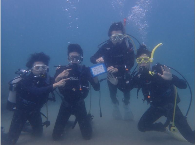 PADI【福井／和歌山】大阪から無料送迎　OWDライセンス取得を目指そう!  初心者・女性・シルバー歓迎 の紹介画像