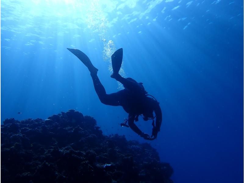 PADI【福井／和歌山】大阪から無料送迎　OWDライセンス取得を目指そう!  初心者・女性・シルバー歓迎 の紹介画像