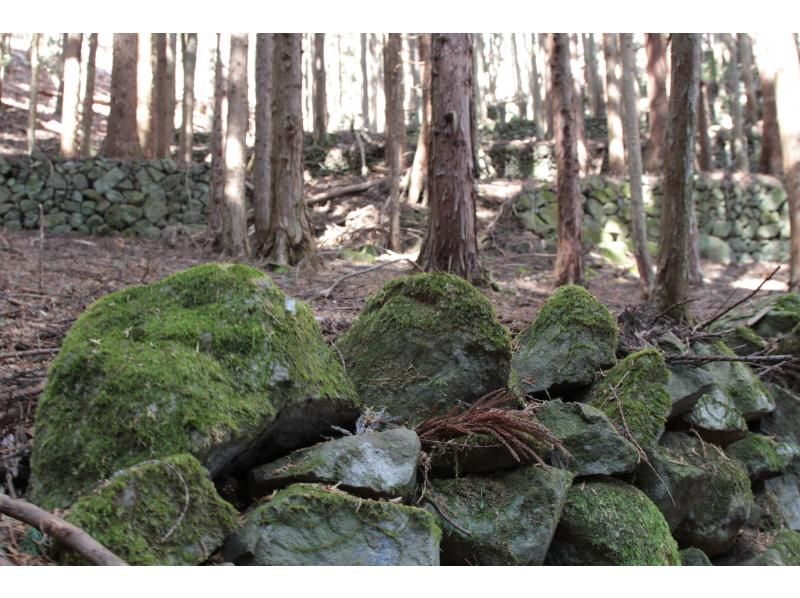 [Yamanashi, Shosenkyo] Beginner MTB experience tour! Ride the ropeway at one of Japan's most scenic spots, Shosenkyo, and take a mountain bike tour along the ancient roads that connect the history of the mountaintop.の紹介画像