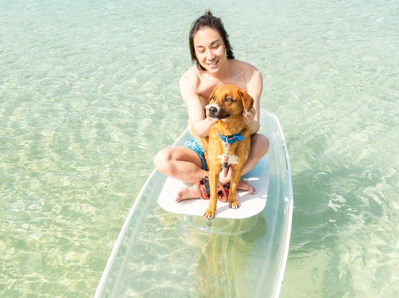 [Okinawa, Miyakojima] Sunset Clear SUP or Clear Kayak Tour / Searching for Sea Turtles