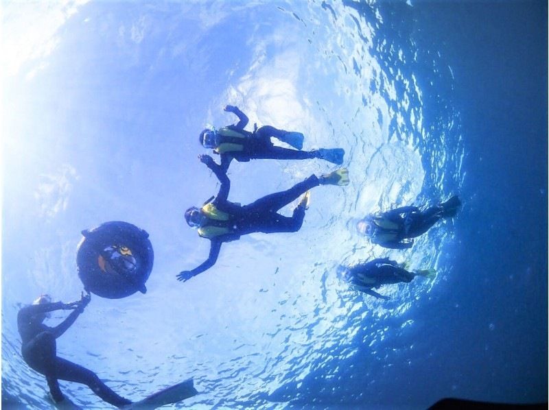 完全貸切プラン【美ら海近く】何歳でも参加OK！・ビーチシュノーケリング【写真撮影・餌付け体験・タオル付】本部・北部・水納島の紹介画像