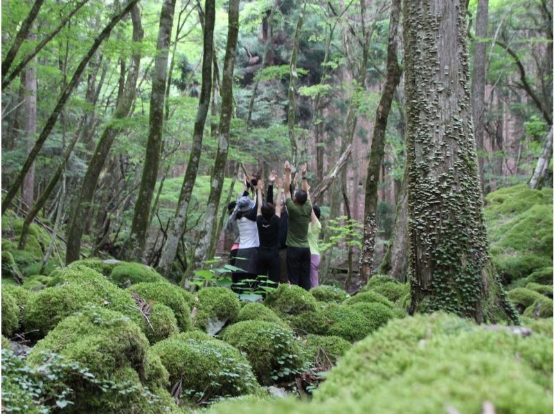 【徳島県・上勝町】苔の名所「山犬嶽」でトレッキングの紹介画像