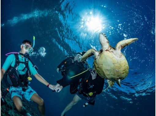 【沖縄・那覇発】ケラマ諸島ファンダイビング!体力負担の少ないダイビングスタイルで初心者やお一人様向け! 【沖縄・那覇発】ケラマ諸島ファンダイビング!体力負担の少ないダイビングスタイルで初心者やお一人様向け!