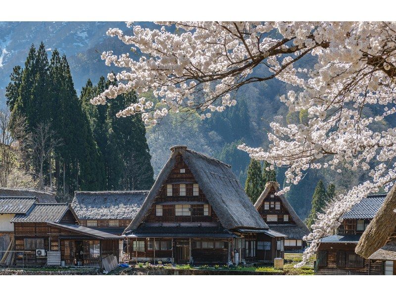 [Team of 4-9 people | Pick-up from city hotels] Hida Takayama & Shirakawa-go Gassho-style Village Day Tour (Small Group Tour) / Departing from Nagoyaの紹介画像