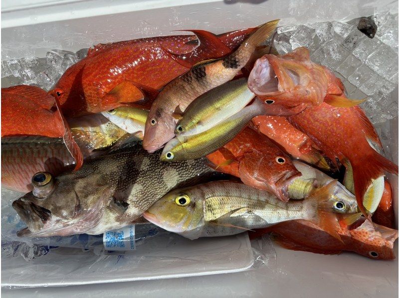 「促銷！」[宮古島] 家庭輕鬆釣魚！釣魚無需任何準備！對於初學者和女性來說都是安全的！伊良部島薩拉濱港每天 3 班出發の紹介画像