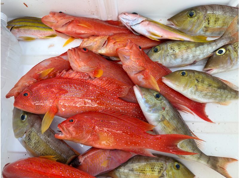 「促銷！」[宮古島] 家庭輕鬆釣魚！釣魚無需任何準備！對於初學者和女性來說都是安全的！伊良部島薩拉濱港每天 3 班出發の紹介画像