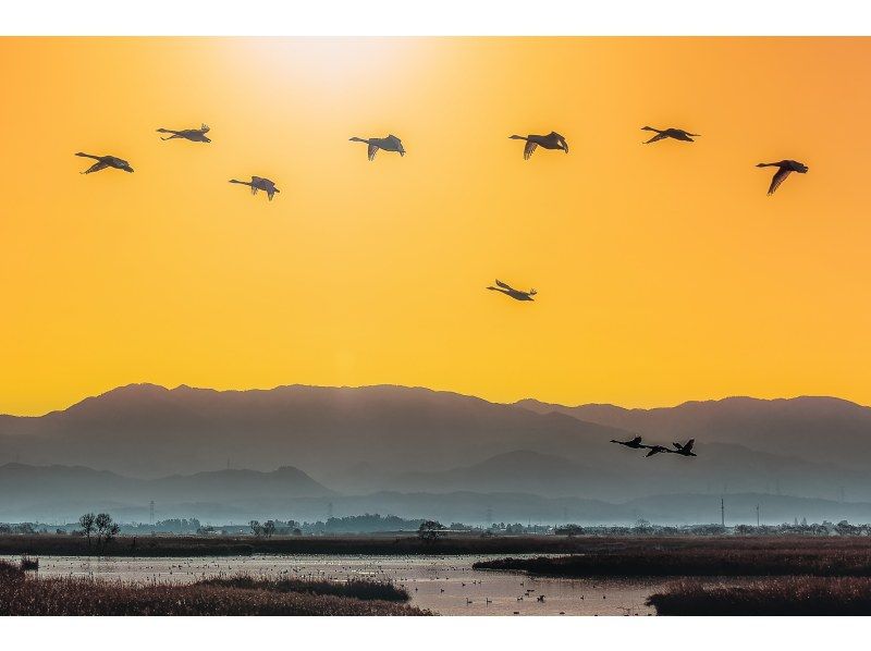 [Niigata, Niigata City] A special lagoon tour where you can experience life on the lagoon for 2 daysの紹介画像