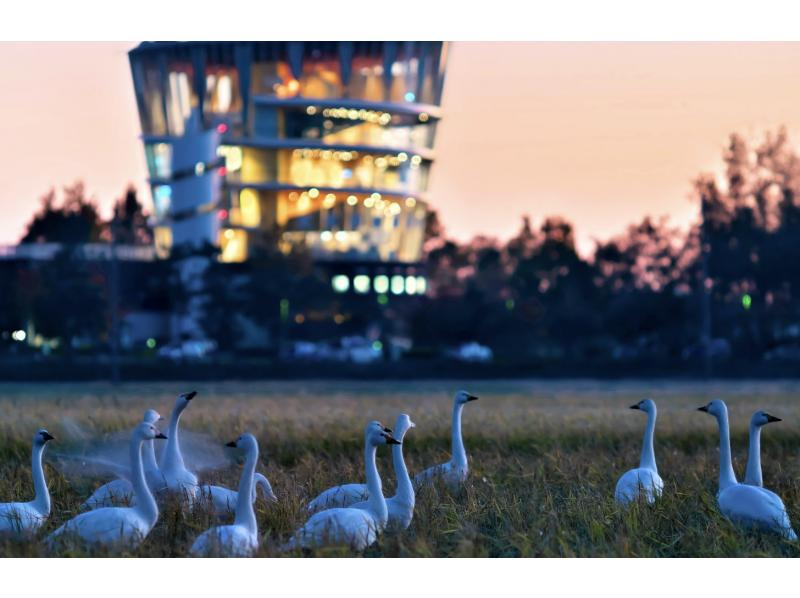 [Niigata, Niigata City] A special lagoon tour where you can experience life on the lagoon for 2 daysの紹介画像