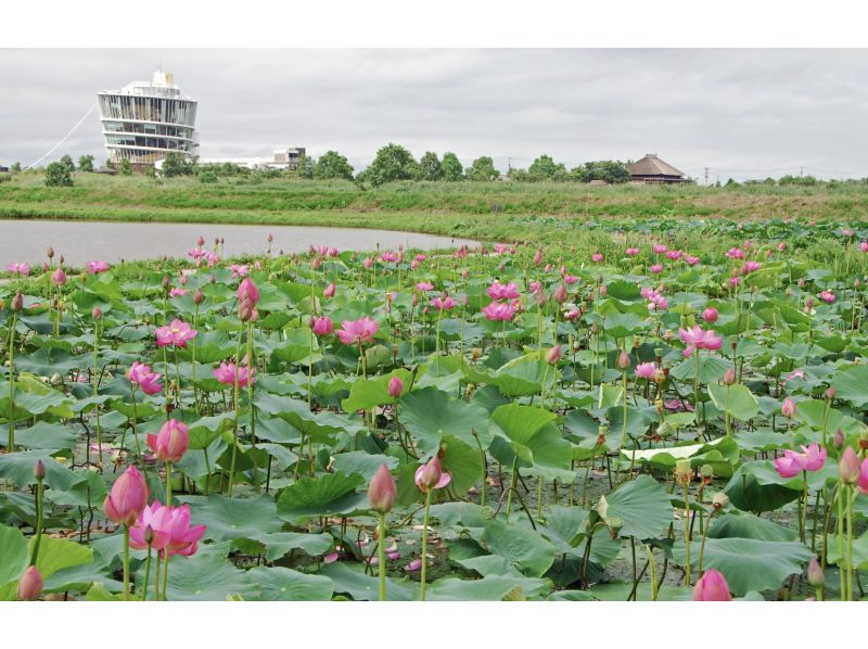 [Niigata, Niigata City] A special lagoon tour where you can experience life on the lagoon for 2 daysの紹介画像