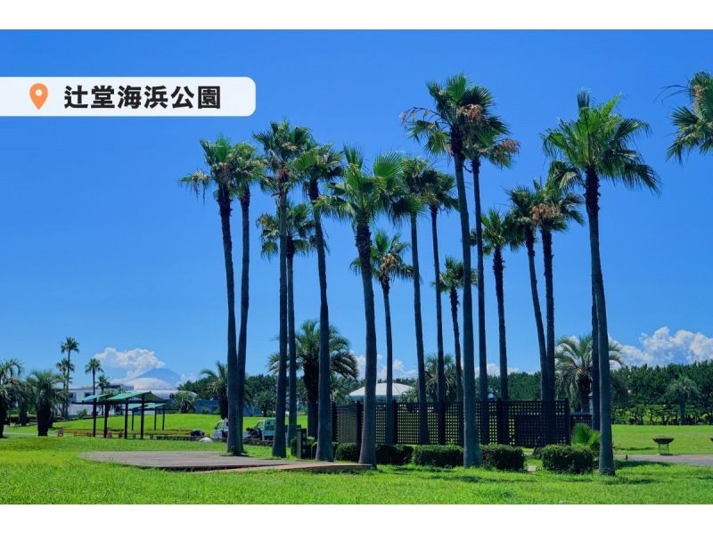 【湘南電動滑板車2小時租賃】◆免費停車◆無駕照！ 4款特製小型摩托車任您選擇試駕！ <2小時方案> の紹介画像