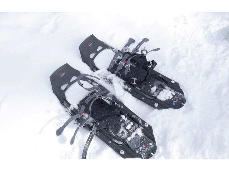 [Tochigi, Nikko, Nikko Yumoto Onsen] Snowshoe trekking (intermediate)の紹介画像