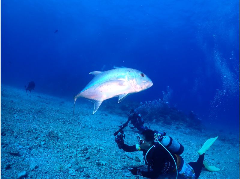 ＰＡＤＩ　オープンウォーターダイバー講習【沖縄・那覇】初めてのダイビングライセンス講習　ゴールドカード発行の紹介画像