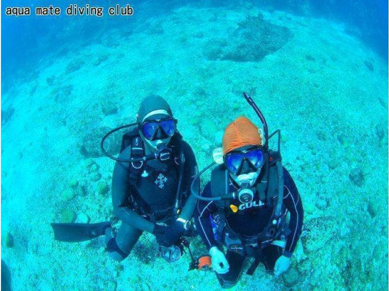 東京・神津島でダイビング】2ダイブで伊豆諸島の海を満喫！ビーチから