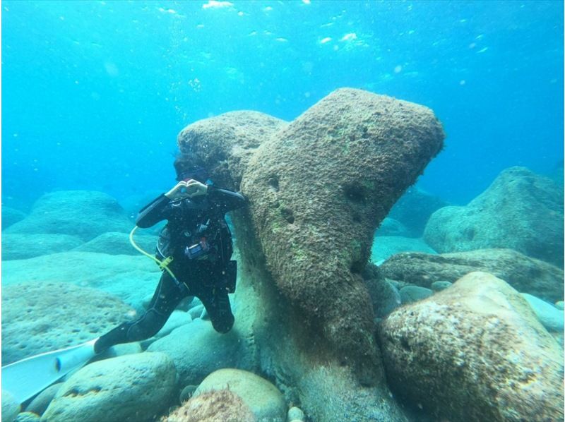 ダイビング 東京・神津島でダイビング】2ダイブで伊豆諸島の海を満喫！ビーチから