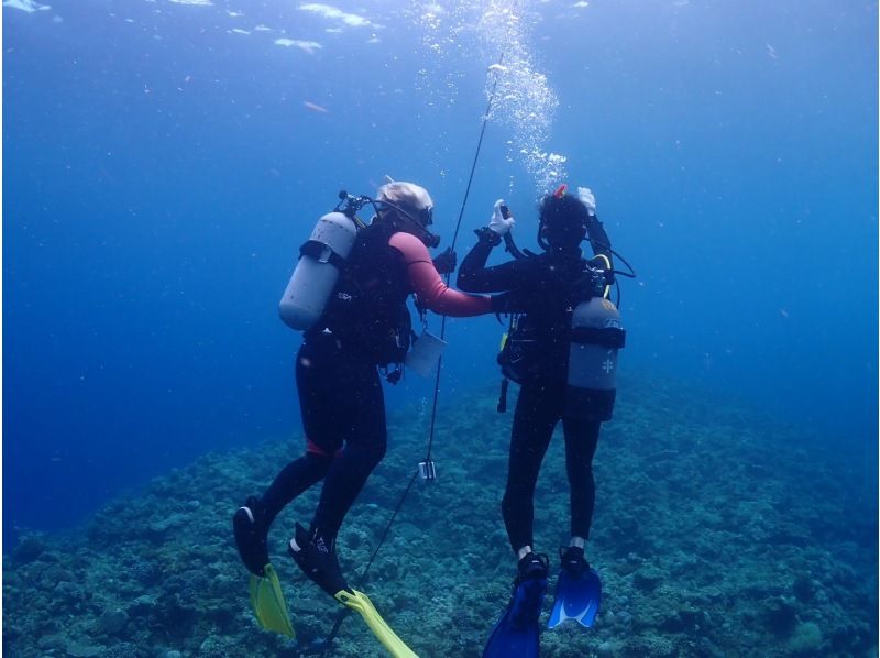 【PADI　オープンウォーターダイバー】ライセンス取得コース♪器材レンタル込み！の紹介画像