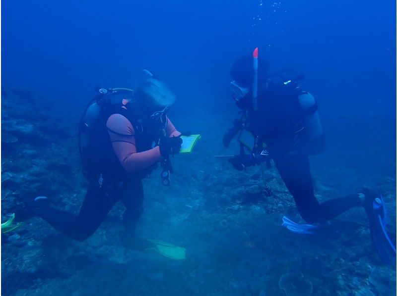 【PADI　オープンウォーターダイバー】ライセンス取得コース♪器材レンタル込み！の紹介画像