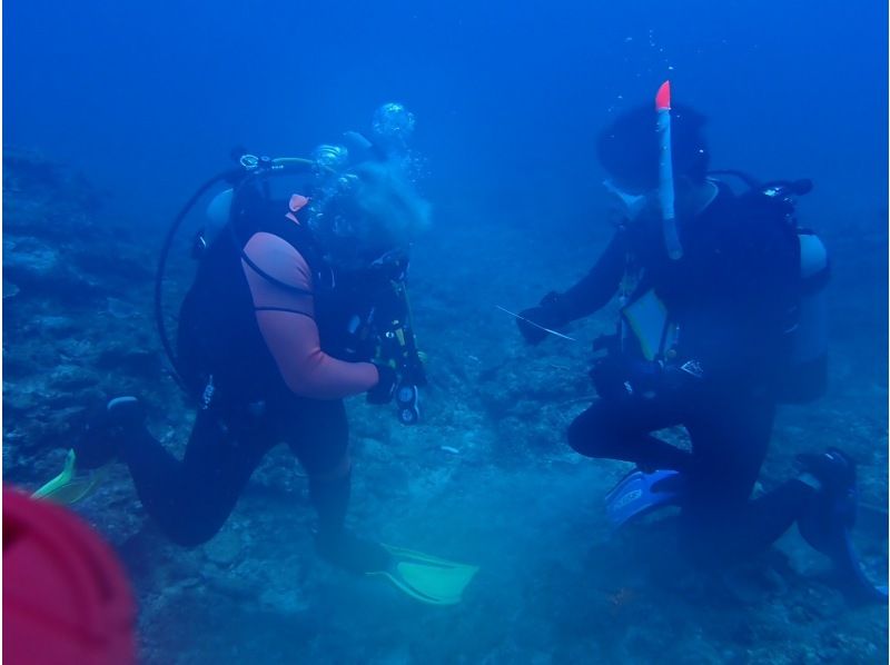 【PADI　オープンウォーターダイバー】ライセンス取得コース♪器材レンタル込み！の紹介画像