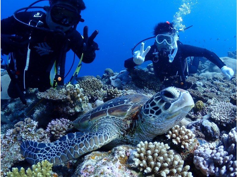 【PADI　オープンウォーターダイバー】ライセンス取得コース♪器材レンタル込み！の紹介画像