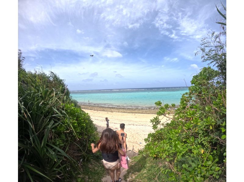 [Okinawa, Miyakojima, Snorkeling] Private tour for one group! A mystical experience of swimming with wild sea turtles while watching the sunrise!の紹介画像