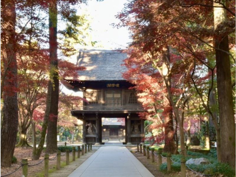 京都嵐山を思わせる「武蔵嵐山渓谷」の紅葉ともみじの名刹「平林寺」を訪ねるバスツアー～割烹二葉･名物忠七めしのご昼食～【029029‐899】の紹介画像