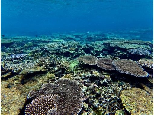 【最新超高画質水中カメラ撮影無料!】秘境洞窟と伊良部島シュノーケルツアー!(1組限定)※宮古島を楽しめる各プラン有!各プランをご覧下さい。 【最新超高画質水中カメラ撮影無料!】秘境洞窟と伊良部島シュノーケルツアー!(1組限定)※宮古島を楽しめる各プラン有!各プランをご覧下さい。