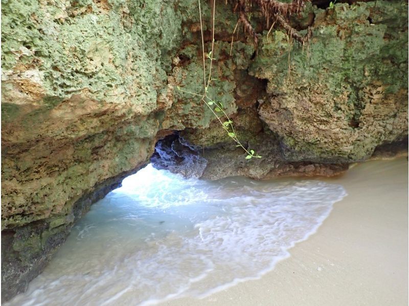 【超高画質水中カメラ撮影無料！】秘境洞窟とプライベートビーチシュノーケルツアー！（1組限定)※宮古島を楽しめる各プランあります。の紹介画像