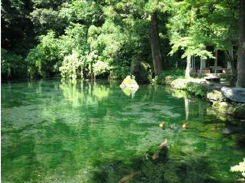 ハスの中を進む花ハスクルーズと関東三大師「佐野厄除け大師」＆まるで水彩画のような「出流原弁天池」見学バスツアー【029029-1258】の紹介画像