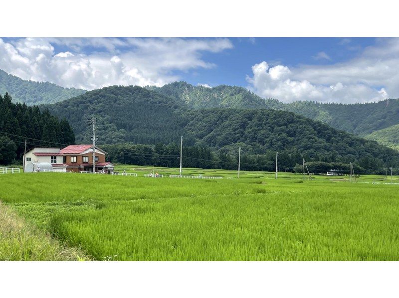 [新潟・湯澤地區]帶導遊的電動自行車遊覽大元太湖。の紹介画像