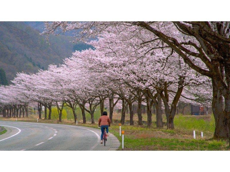 [นีงาตะ・ภูมิภาคยูซาวะ] ทัวร์จักรยานไฟฟ้าพร้อมไกด์ไปยังทะเลสาบไดเกนตะの紹介画像