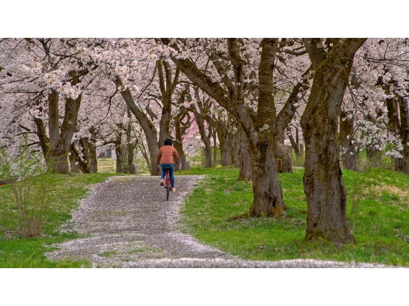 【Niigata・MINAMIUONUMA】 Guided e-bike tour to Hakkaisan Sake Breweryの紹介画像