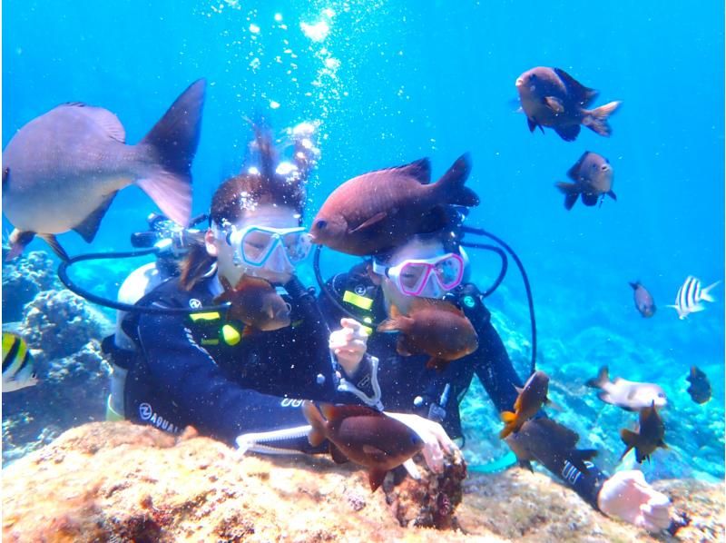 【東京・神津島】日本一の透明度に選ばれた海で、プライベート感溢れる体験ダイビング！の紹介画像