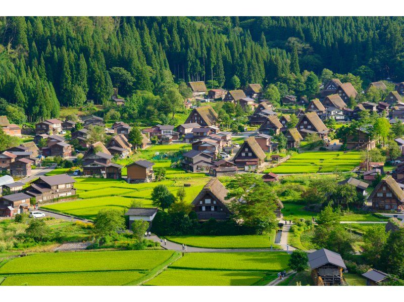 [Day Trip] World Heritage Hida Takayama + Shirakawa-go Gassho Village Day Trip Tourの紹介画像