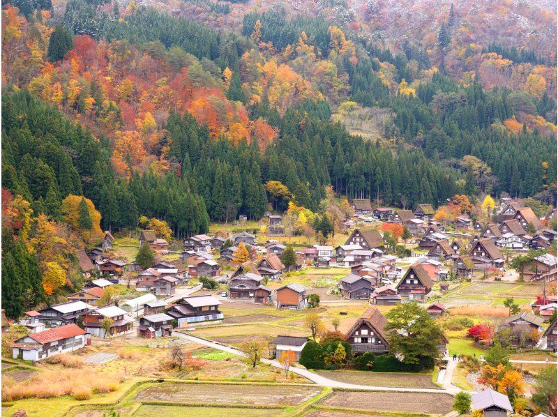 [Day Trip] World Heritage Hida Takayama + Shirakawa-go Gassho Village Day Trip Tourの紹介画像