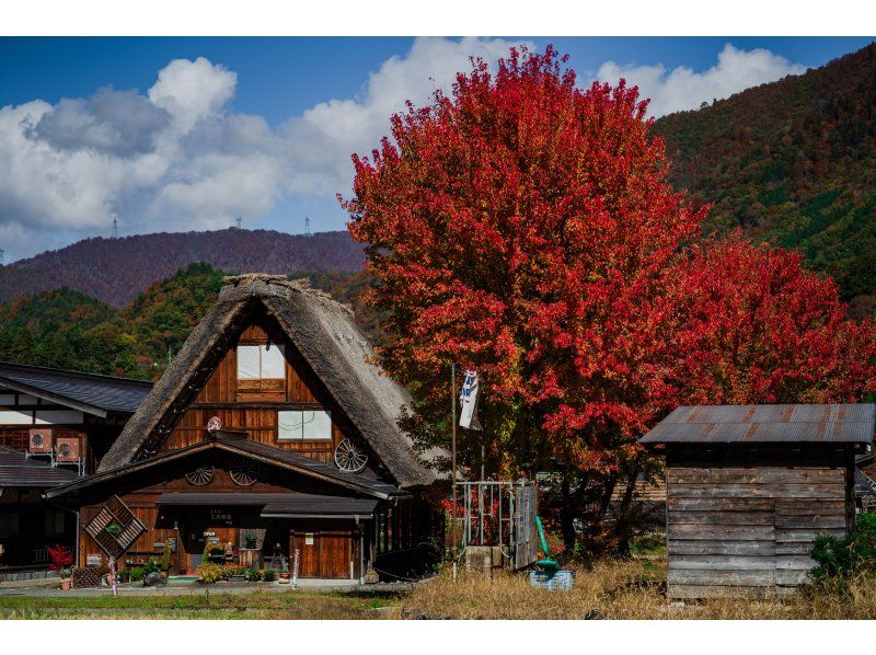 [Day Trip] World Heritage Hida Takayama + Shirakawa-go Gassho Village Day Trip Tourの紹介画像