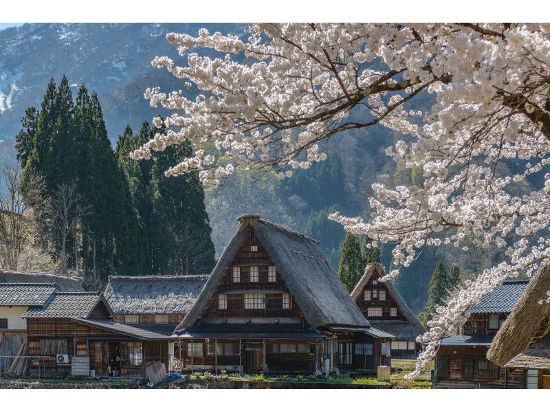 [Day Trip] World Heritage Hida Takayama + Shirakawa-go Gassho Village Day Trip Tourの紹介画像