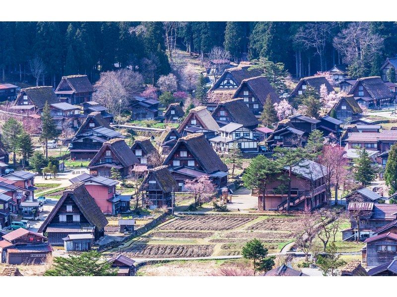 【日帰り】世界遺産飛騨高山＋白川郷合掌村日帰りツアーの紹介画像