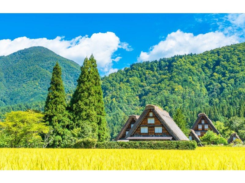 [Day Trip] World Heritage Hida Takayama + Shirakawa-go Gassho Village Day Trip Tourの紹介画像