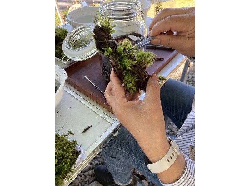 SALE! Family Plan Parent and Child Moss Workshop Moss Terrarium Making Experience Lake Shirakabaの紹介画像