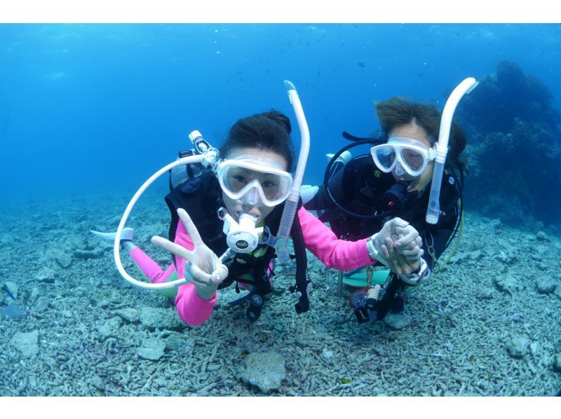 [Okinawa, Ishigaki Island] "Premium Manta Course" where you can meet manta rays with two trial dives! Ages 10 and up!の紹介画像