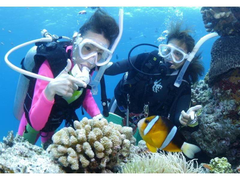 [Okinawa, Ishigaki Island] "Premium Manta Course" where you can meet manta rays with two trial dives! Ages 10 and up!の紹介画像