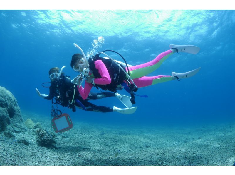 [Okinawa, Ishigaki Island] "Premium Manta Course" where you can meet manta rays with two trial dives! Ages 10 and up!の紹介画像