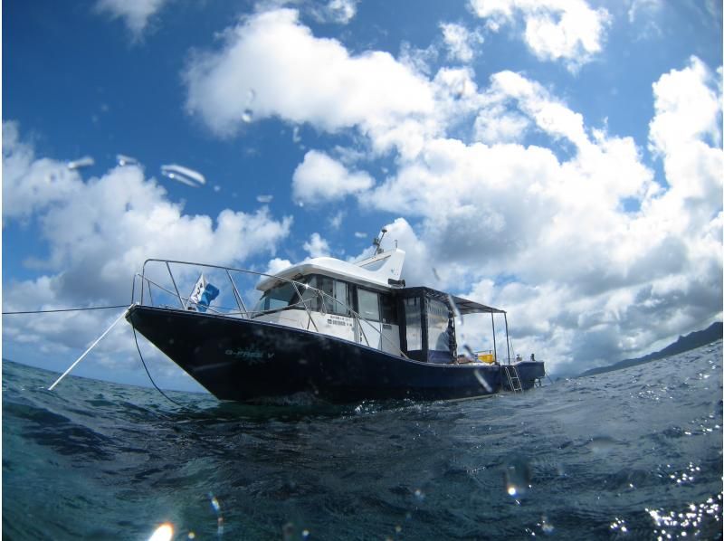 [Okinawa, Ishigaki Island] "Premium Manta Course" where you can meet manta rays with two trial dives! Ages 10 and up!の紹介画像